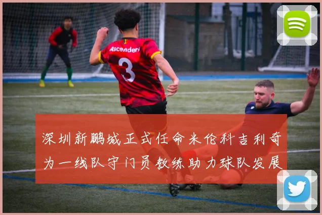 深圳新鹏城正式任命米伦科吉利奇为一线队守门员教练助力球队发展